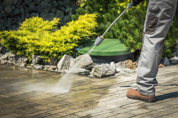 Best Driveway Pressure Washing  in Morton, IL